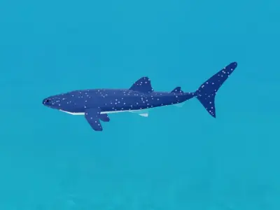 Low-poly Whale Shark Low-poly 3D model