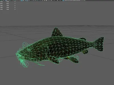 Catfish Low-poly 3D model purchase