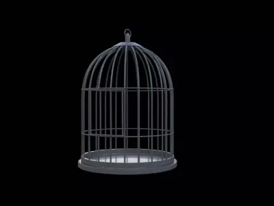 Bird Cage 3D model order