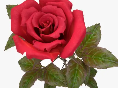 rose red_v_2 3D model