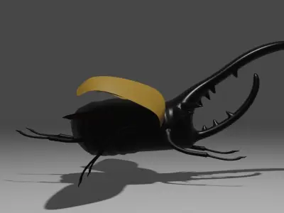 Beetle 3D model buy