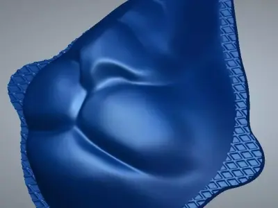 CUBREBOCA CARA DE LEON Free 3D model