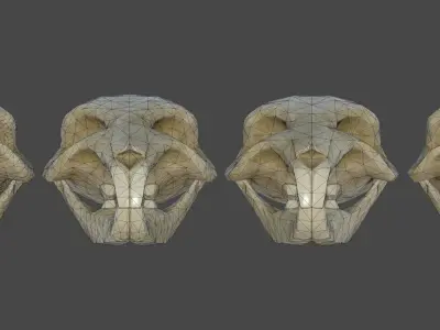 Rat Skull Low-poly 3D model