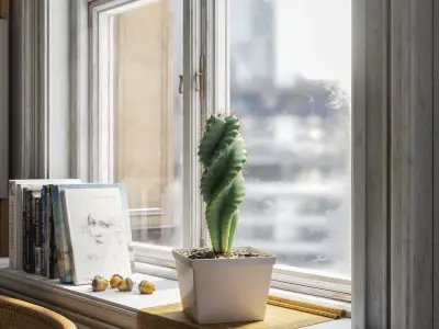  Spiral Cactus Potted Plant Model 