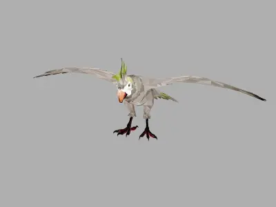 Parrot Low Polygon Art Bird Animal Low-poly 3D model