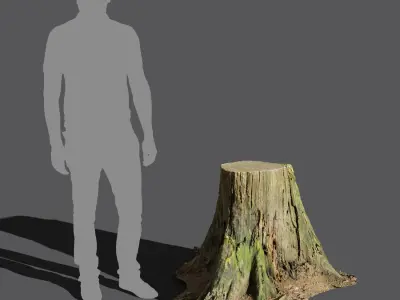  Short Cut Mossy Forest Stump Model 