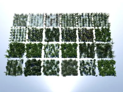 Fern ecosystems Pack 24 3D model