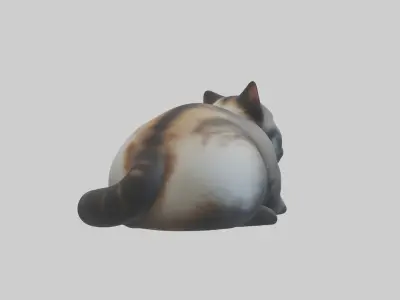 Iriomote Cat resting model Low-poly 3D model