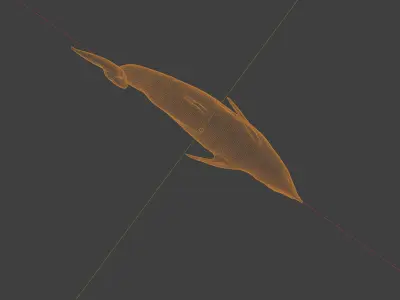 Dolphin Low-poly 3D model purchase