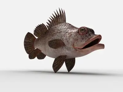 Scorpion fish Scorpen-2 Low-poly 3D model