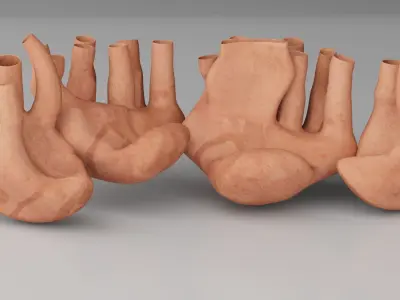 Endoplasmic Reticulum  3D model