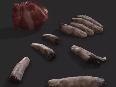 Severed Fingers and Heart 3D Model Set 3D Model Pack
