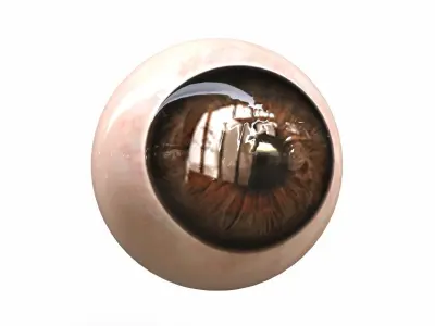 Human Eye Low-poly 3D model