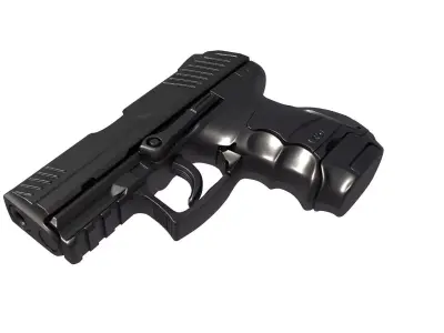 hk P30SK 3D print model