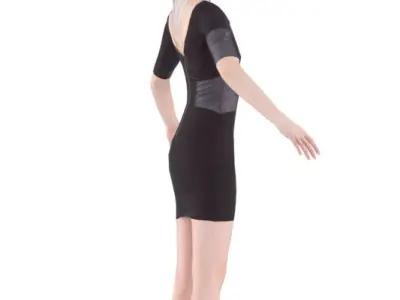 Maya Rigged 004