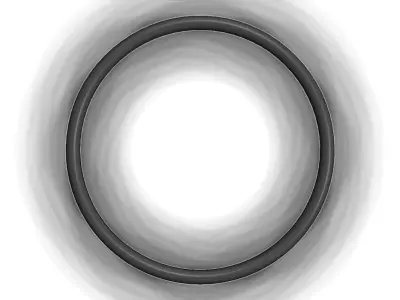 O Ring Vedabras 12862 3D model