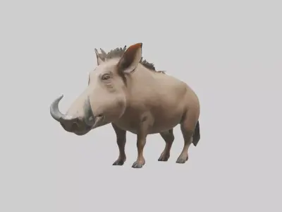 Standing Warthog Model Low-poly 3D model