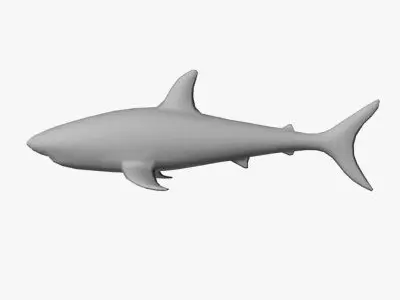 Low Poly Shark Low-poly 3D model purchase