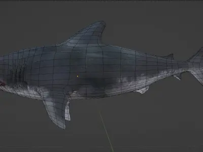 Shark  Low-poly 3D model