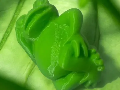 Frog cool 3D print model