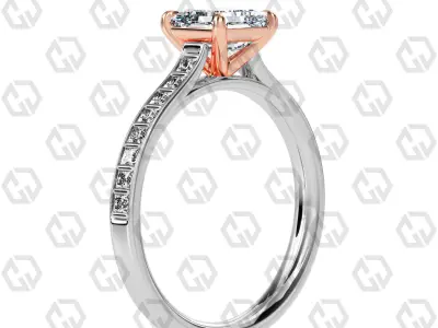 Ring 71 Asscher Shape and princess on shanks with Gems 3D print model