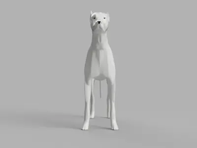 Dog 3D Model great dane 3D model