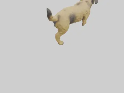 Border Terrier digging model 3D model