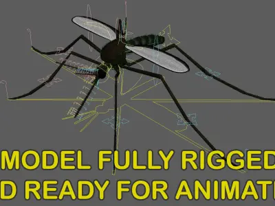 Mosquito Common House 3D model