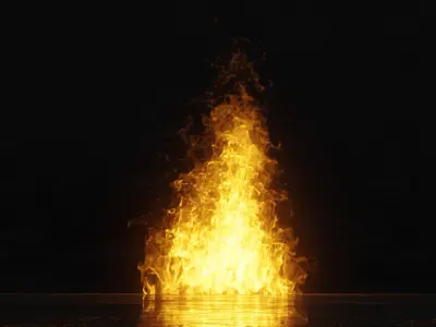 3D Bonefire fire 3D model