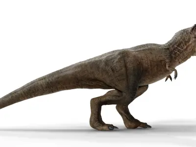 Tyrannosaurus 3D model