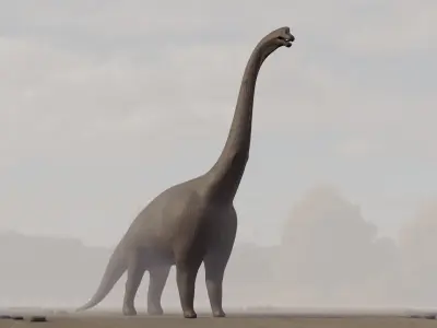 Brachiosaurus dinosaur in field Low-poly 3D model