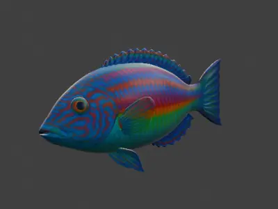 Wrasse Fish 3D model