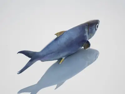 Sardine Low-poly 3D model