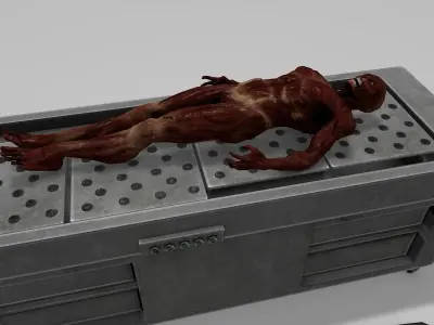Autopsy Body Low-poly 3D model