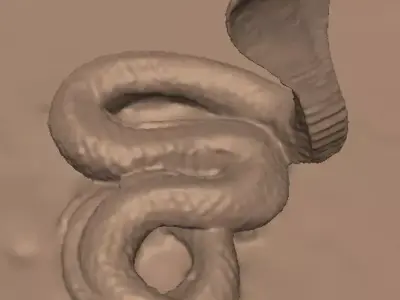 King Cobra 3D model