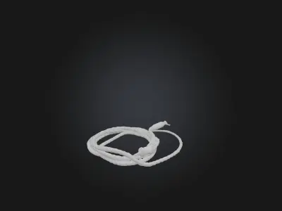 Whip model Low-poly 3D model