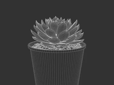  Echeveria Morning Beauty Succulent Potted Plant Model  purchase