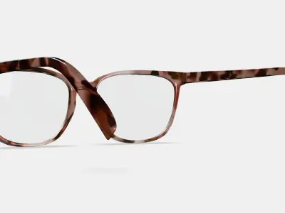 Esme Eyeglasses in Sesame Tortoise Low-poly 3D model