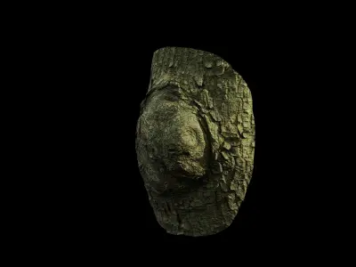 Anydrafts Koelreuteria paniculata Burl 23 Low-poly 3D model