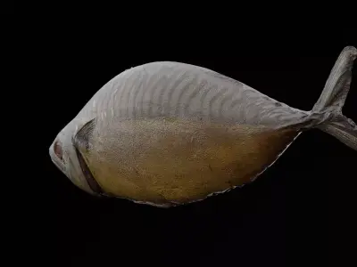 Fire Grilled Fish Low-poly 3D model