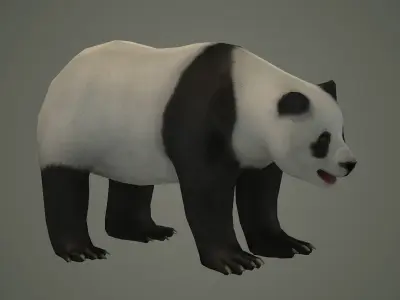 panda bear wildlife beast wild fur teddy outdoors mammal 3D model