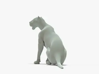 Lioness Rigged Basemesh Low-poly 3D model