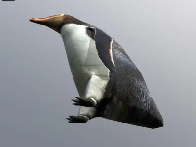 Yellow eyes penguin Low-poly 3D model