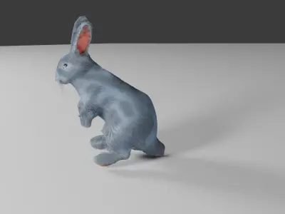 rabbit 3d Low-poly 3D model