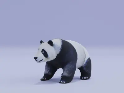 Panda Animal Low High Poly Low-poly 3D model