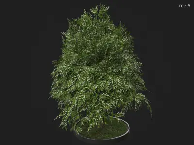 Nature Assets - Bird Cherry Tree Low-poly 3D model
