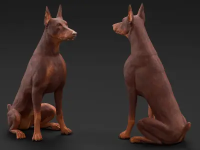 Doberman Dog Brown Sits 3D model