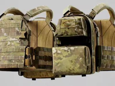 TYR Tactical PICO DSX Assaulter Plate Carrier V4 Low-poly 3D model