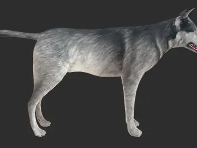 Wolf 3d model Low-poly 3D model