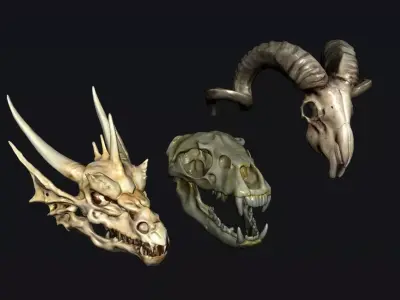 Skull Animal 3D model